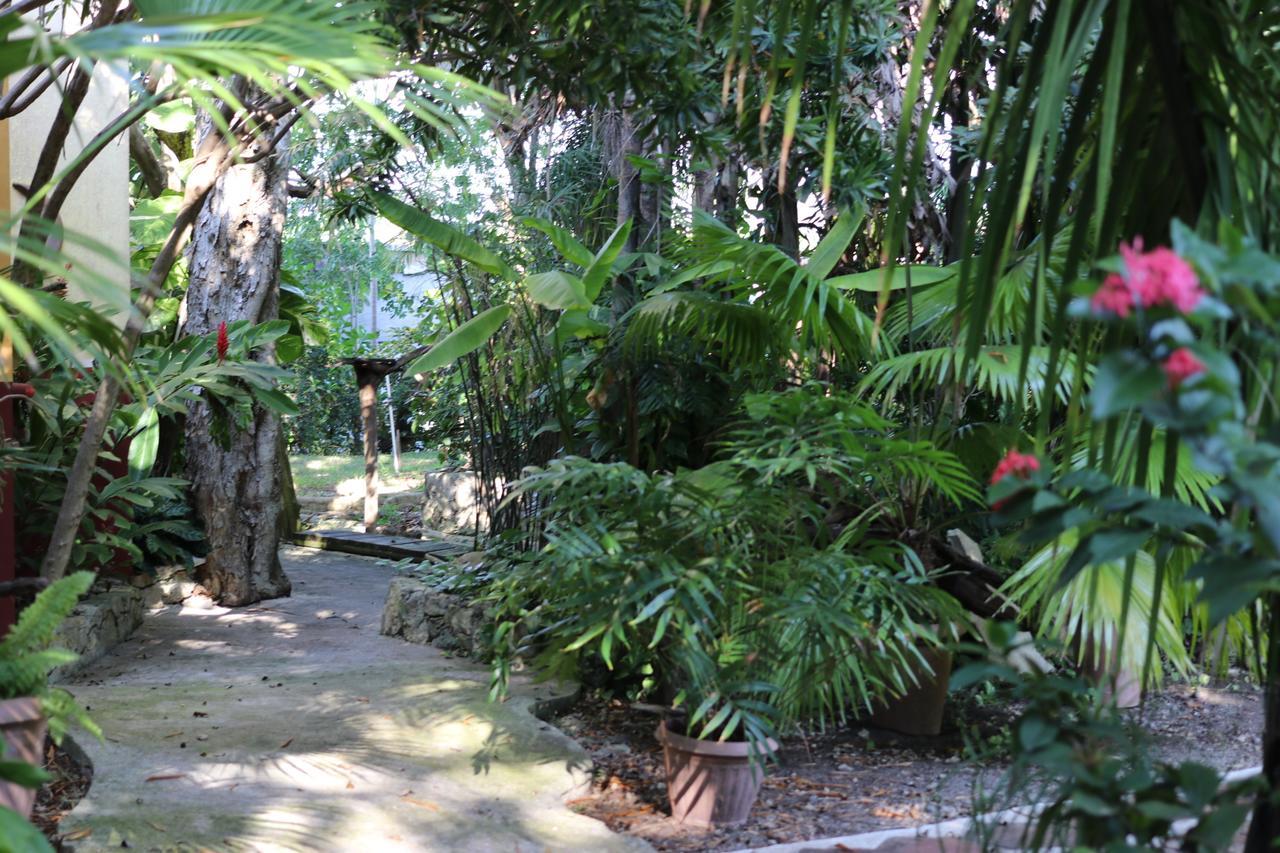 Casa Kin33 Bed & Breakfast แคนคูน ภายนอก รูปภาพ