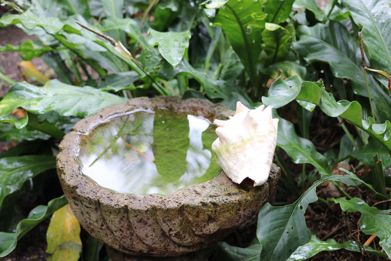 Casa Kin33 Bed & Breakfast แคนคูน ภายนอก รูปภาพ