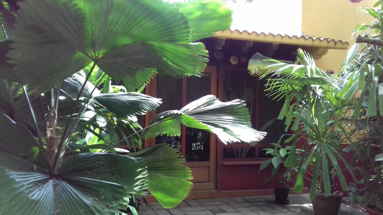Casa Kin33 Bed & Breakfast แคนคูน ภายนอก รูปภาพ
