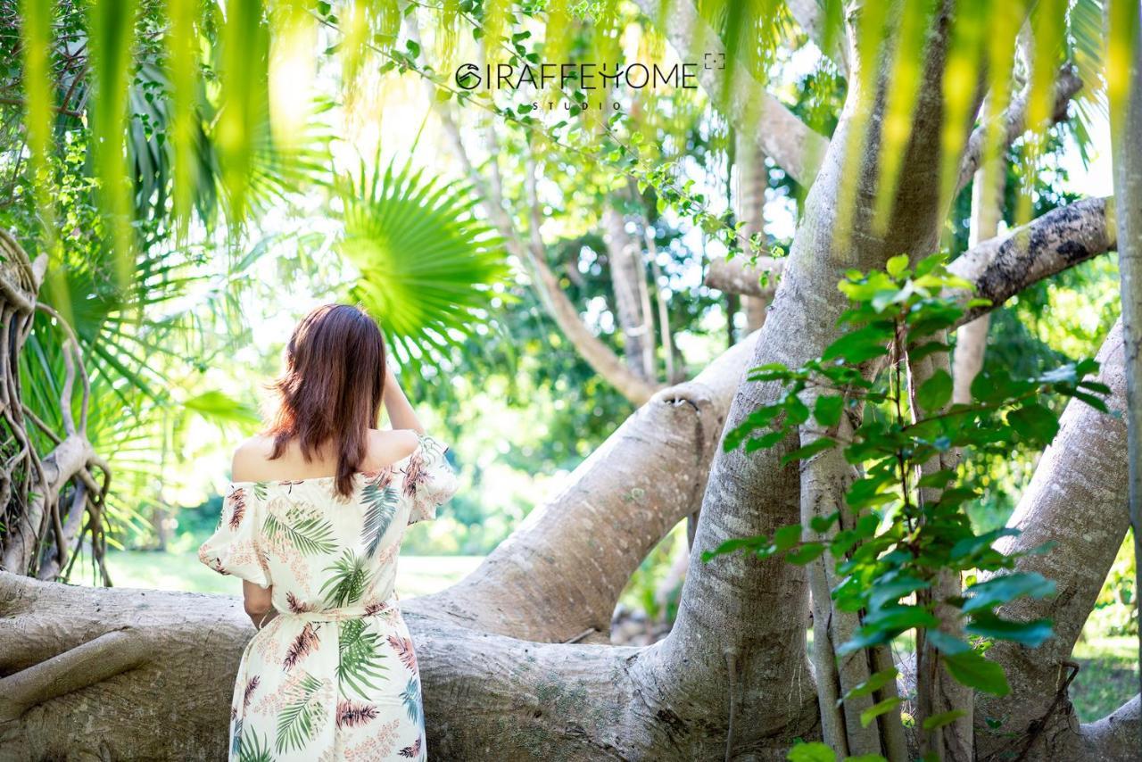 Casa Kin33 Bed & Breakfast แคนคูน ภายนอก รูปภาพ